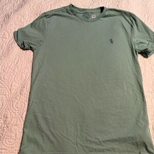 Polo by Ralph Lauren Men's Mint Green Tee